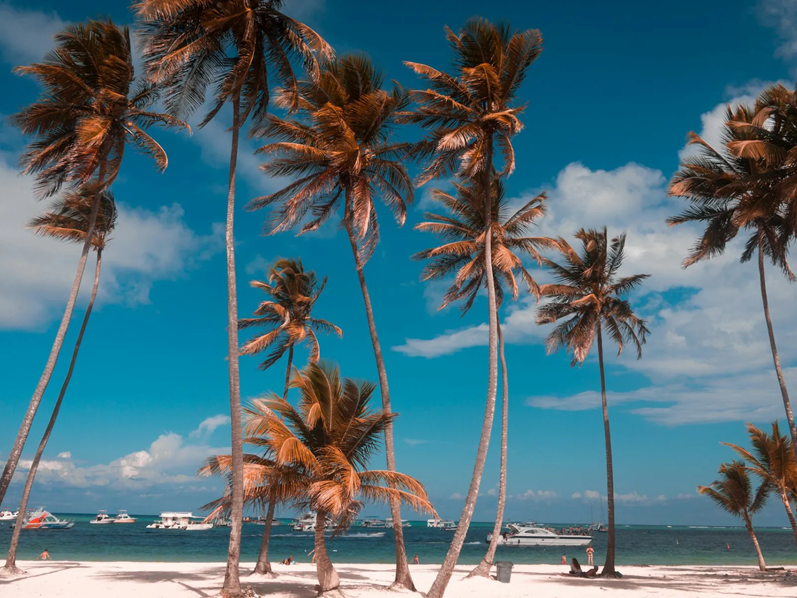 DOMINICAN REPUBLIC
