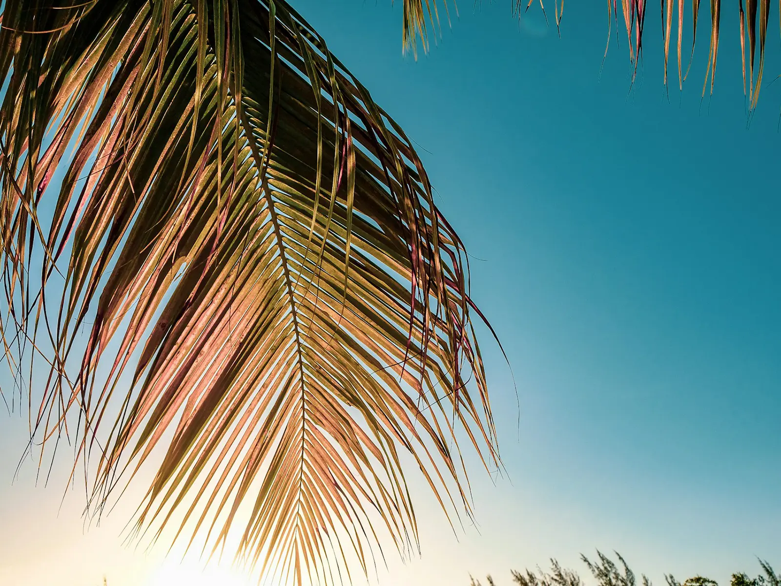 TURKS AND CAICOS